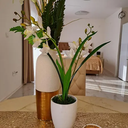 Dina Lux شقة *